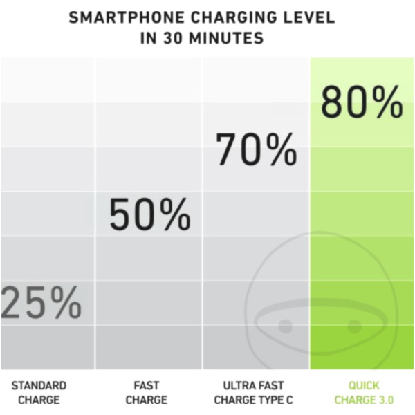 Powerbank 20.000 mAh SBS 1112001
