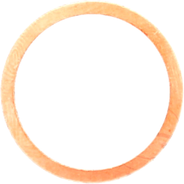 Dichtring OELABLASSS 128503