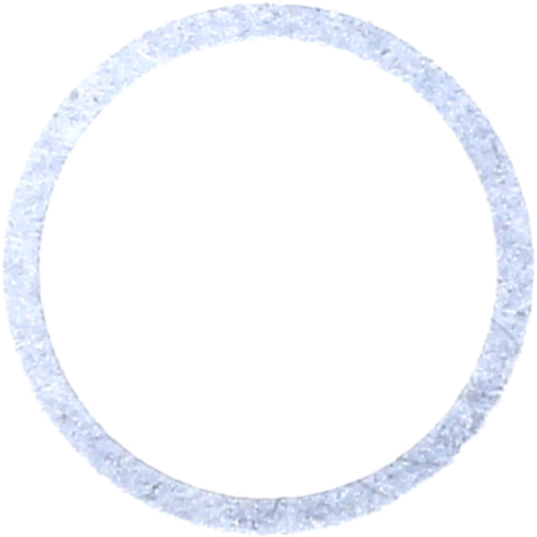 Dichtring OELABLASSS 250007