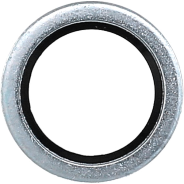 Dichtring OELABLASSS 834823