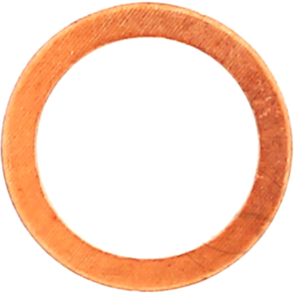 Dichtring OELABLASSS 119504