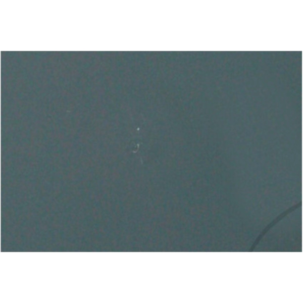 SCHEIBENREP Set presto