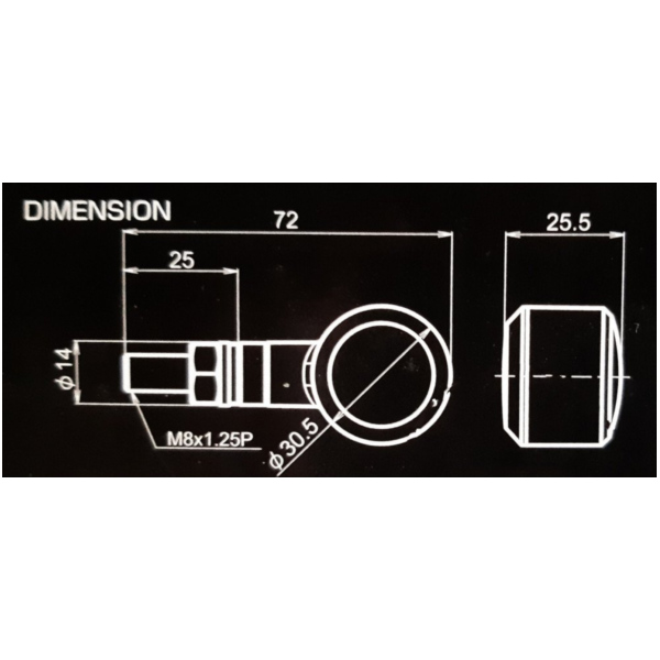 Blinker Blinkleuchte Daytona 969342