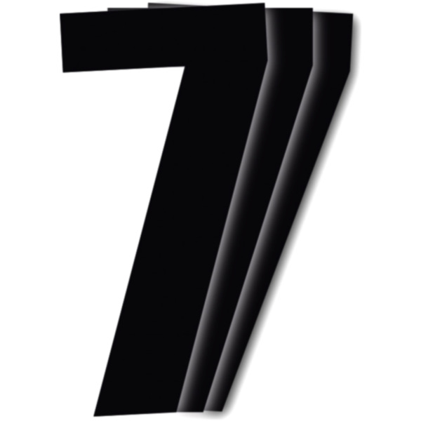 Startnummern NR.7 BlackBird Racing 1108304