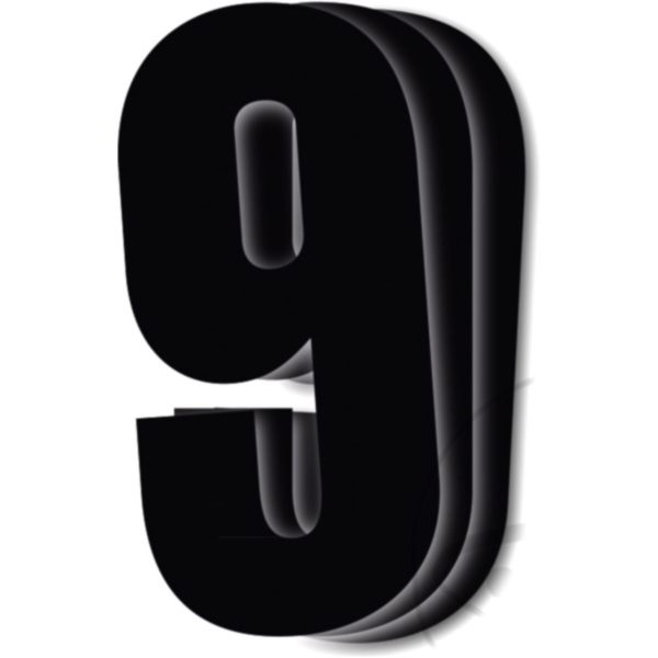 Startnummern NR.9 BlackBird Racing 1108306