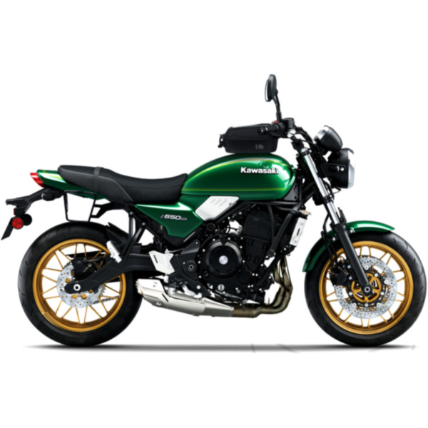 Satteltaschenträger Shad 1135556