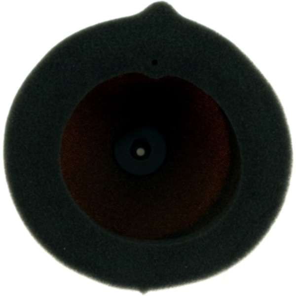 Rennluftfilter Foam Twin AIR 968207