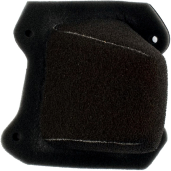 Rennluftfilter Foam Twin AIR 1037245