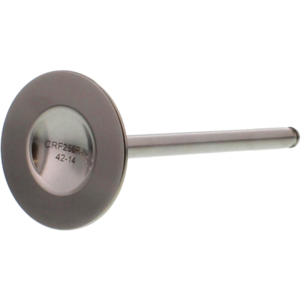 Einlassventil titan Prox 2813342