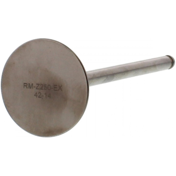 Auslassventil titan Prox 2833371