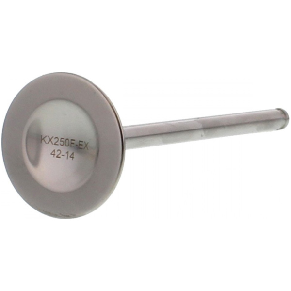 Auslassventil titan Prox 2843341