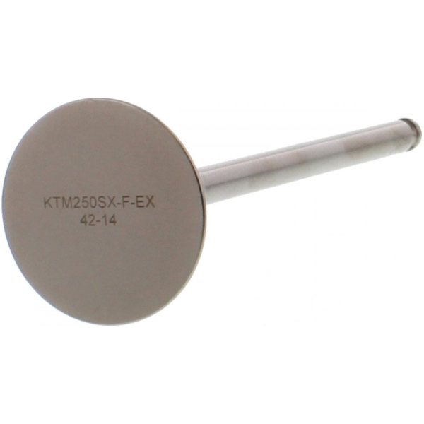 Auslassventil titan Prox 2863261