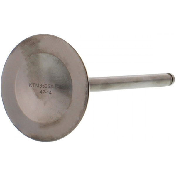 Einlassventil titan Prox 2863512