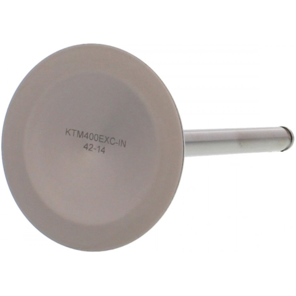 Einlassventil titan Prox 2864282