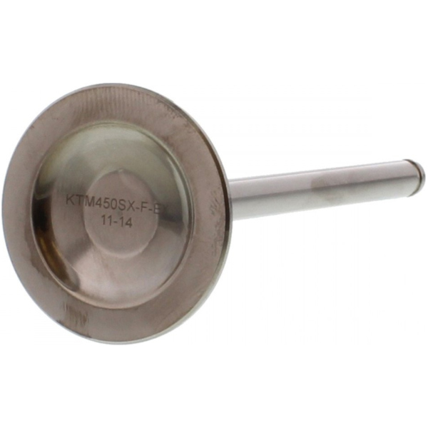 Auslassventil titan Prox 2864331