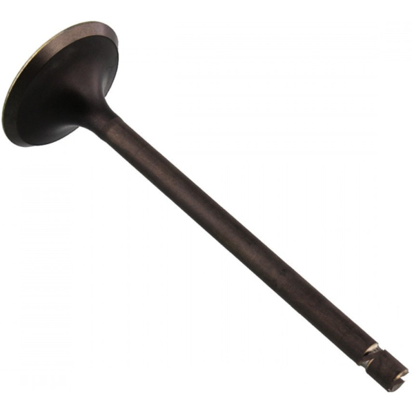 Einlassventil Stahl Prox 2813812