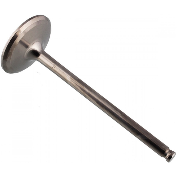 Einlassventil titan Prox 2824142