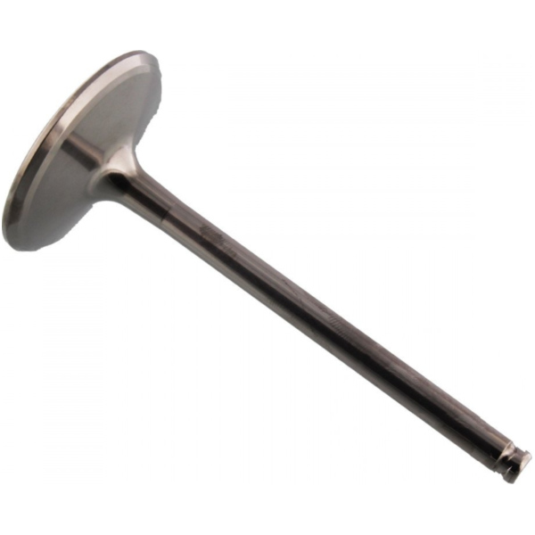 Einlassventil titan Prox 2824442