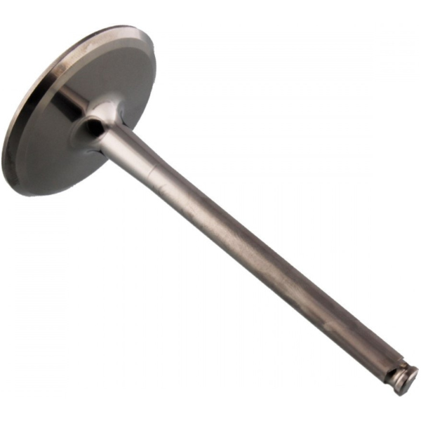 Einlassventil titan Prox 2844162