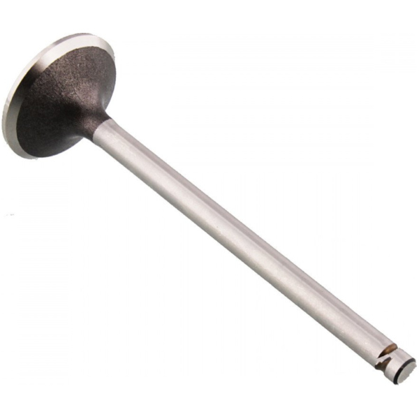 Auslassventil Stahl Prox 2813231