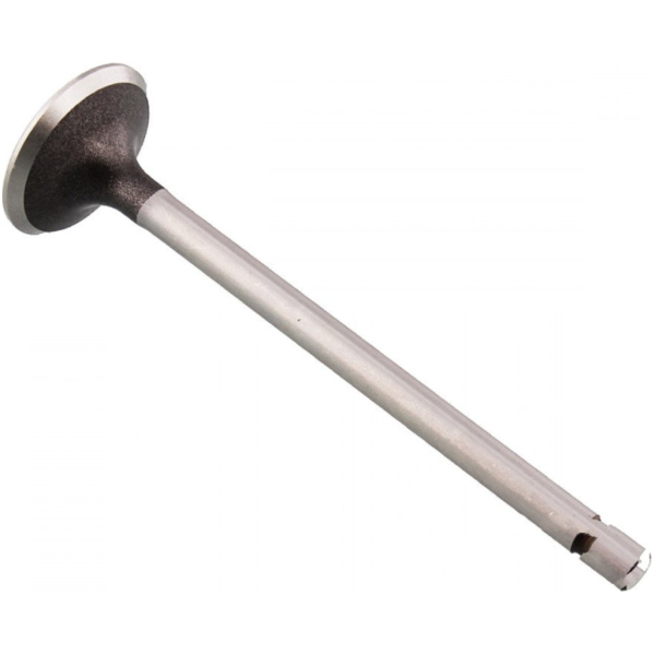 Auslassventil Stahl Prox 2813811