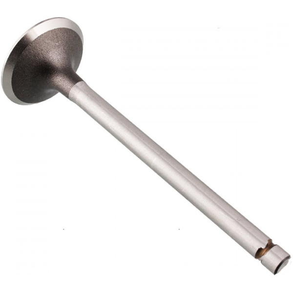 Auslassventil Stahl Prox 2823961