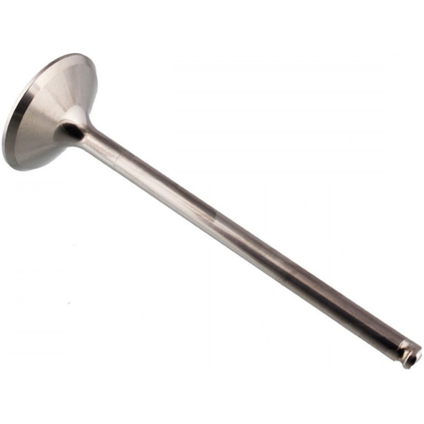 Auslassventil titan Prox 2824141