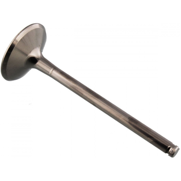 Auslassventil titan Prox 2824441