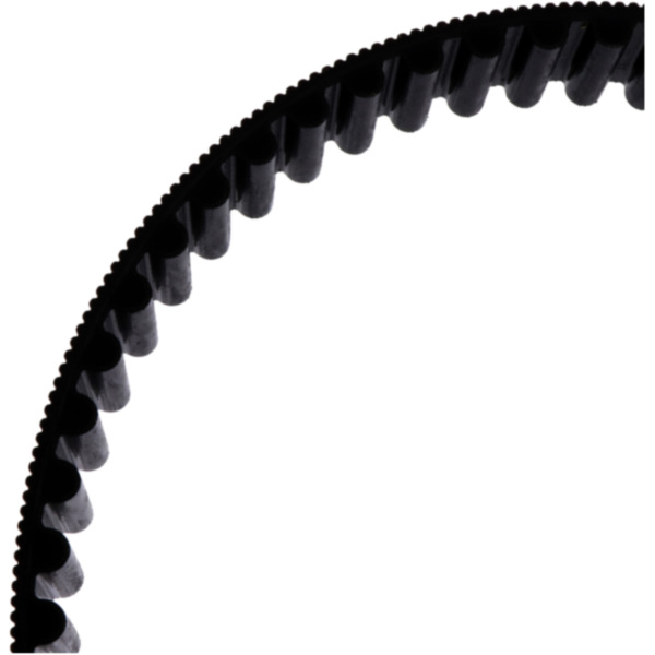 Zahnriemen 141 Zähne für: Triumph Original