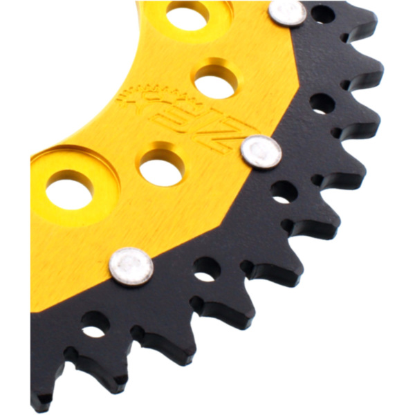 Kettenblatt Kettenrad Dual 42Z Teilung 520 gold ZFD73542GLD