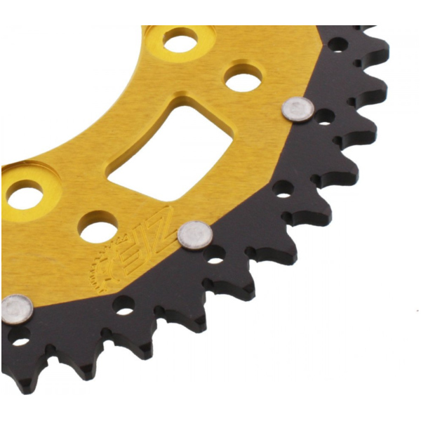 Kettenblatt Kettenrad Dual 48Z Teilung 520 gold ZFD74648GLD
