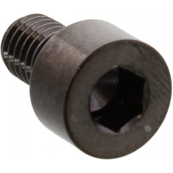 Zylinderschraube LSSPB508BK