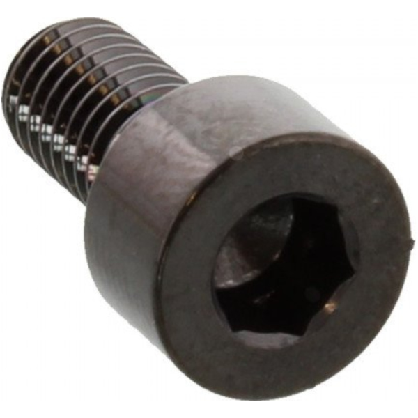 Zylinderschraube LSSPB510BK