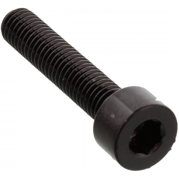 Zylinderschraube LSSPB525BK