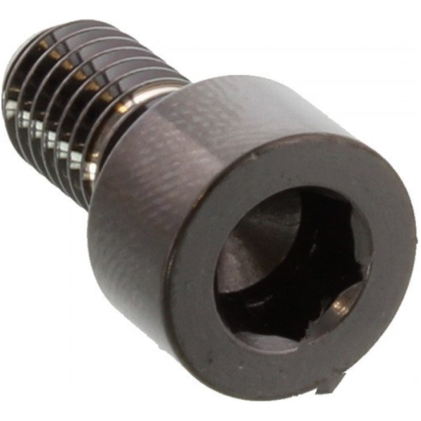 Zylinderschraube LSSPB612BK