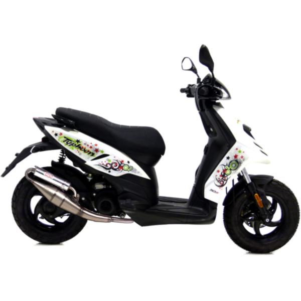 Auspuff Endtopf Schalldämpfer Handmade TT Leovince 4064