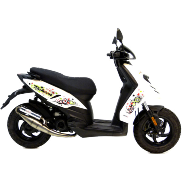 Auspuff Endtopf Schalldämpfer Handmade TT Leovince 4065