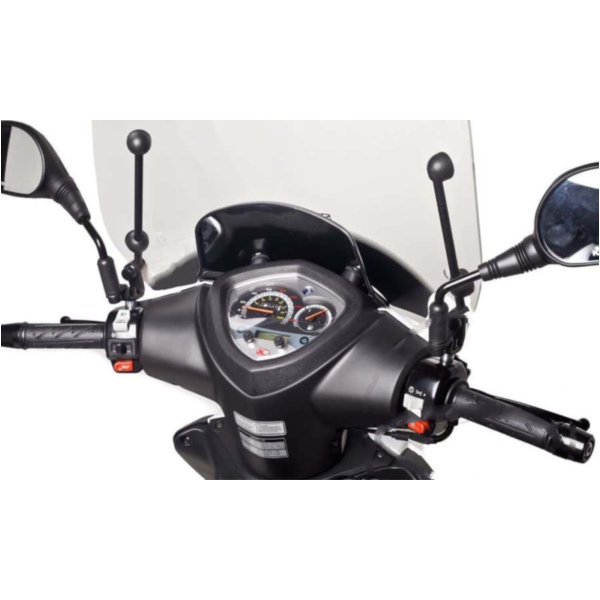 Scheibe T.S. Puig 6851W