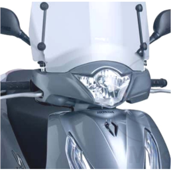 Scheibe T.S. Puig 6403W