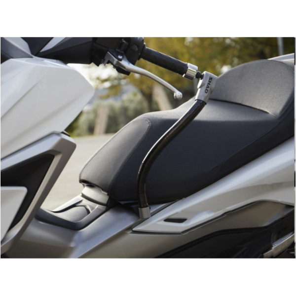 Lenkerschloss 1109887