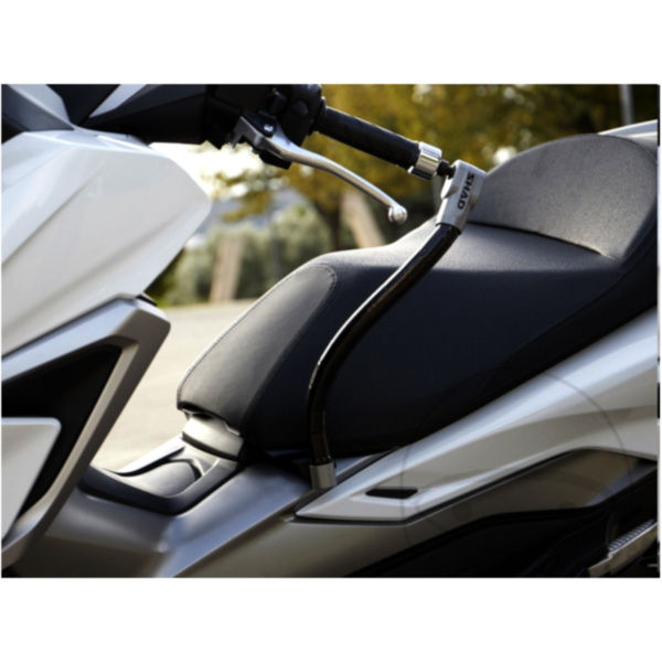 Lenkerschloss 1109889