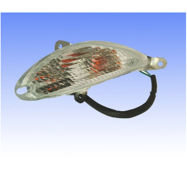 Blinker Blinkleuchte komplett vorne rechts BT13923