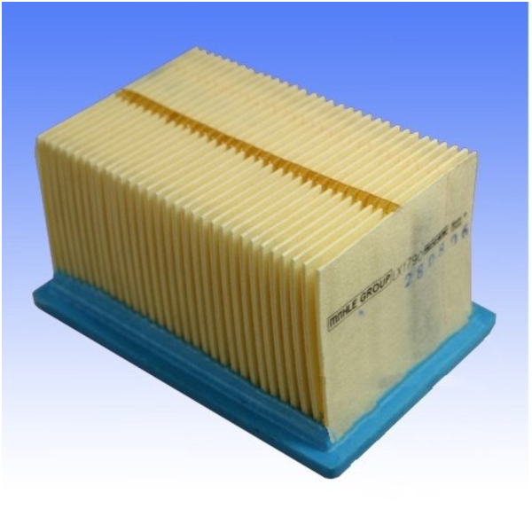 Luftfilter Mahle LX1790