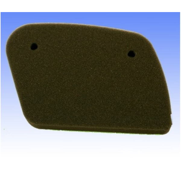 Luftfilter Foam Athena S410010200006