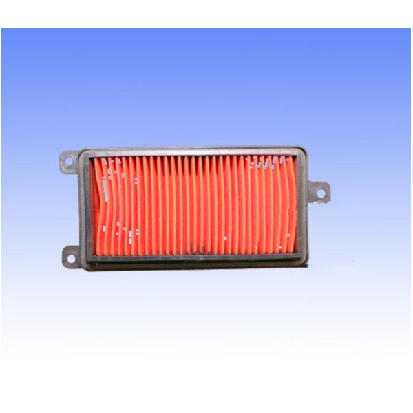 Luftfilter Foam Athena S410210200059