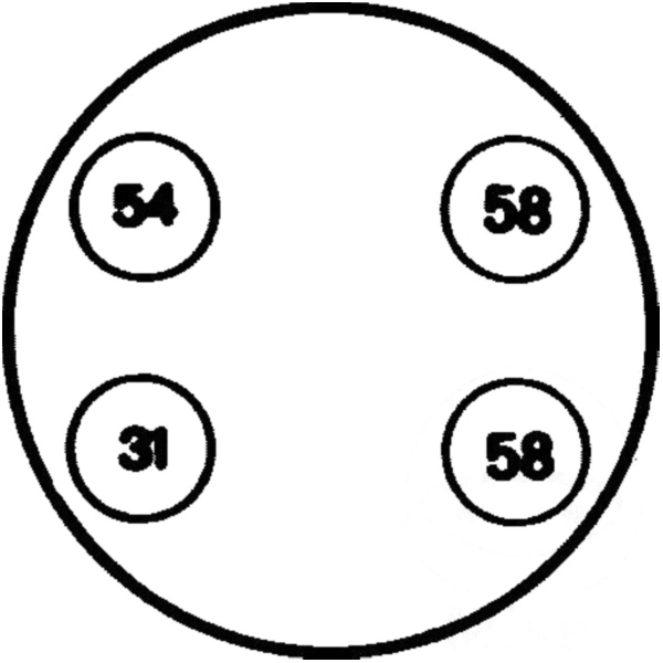 Steckdose 4-polig Kunststoff 24V