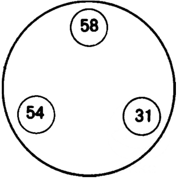 Steckdose 3-polig Anhänger