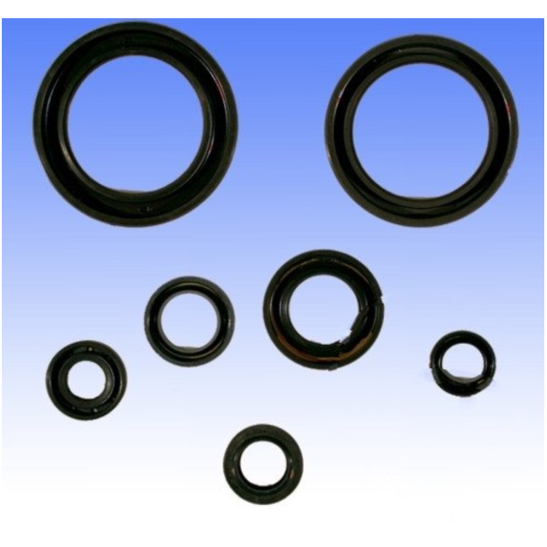 Simmering Wellendichtring Satz Athena P400210400095