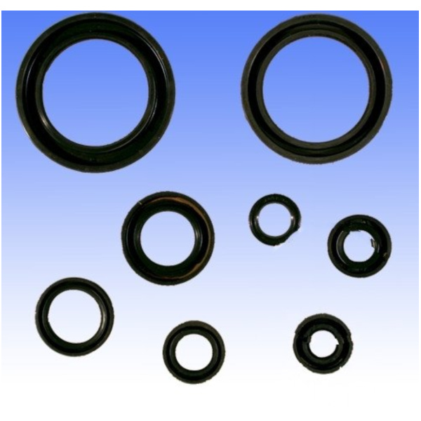 Simmering Wellendichtring Satz Athena P400210400064