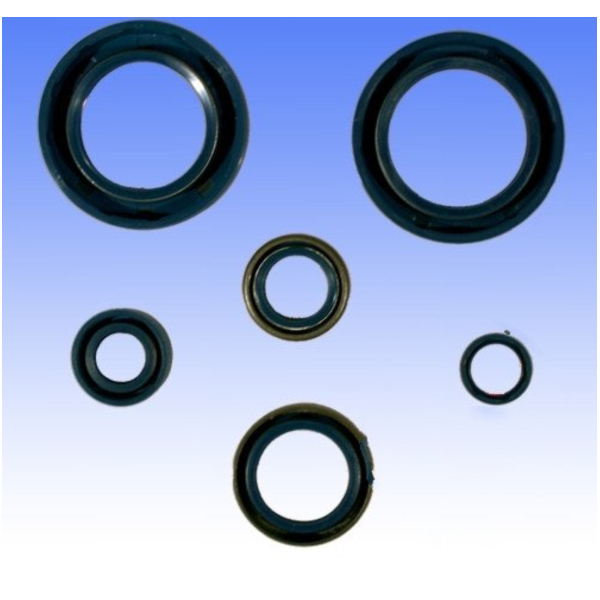 Simmering Wellendichtring Satz Athena P400270400006